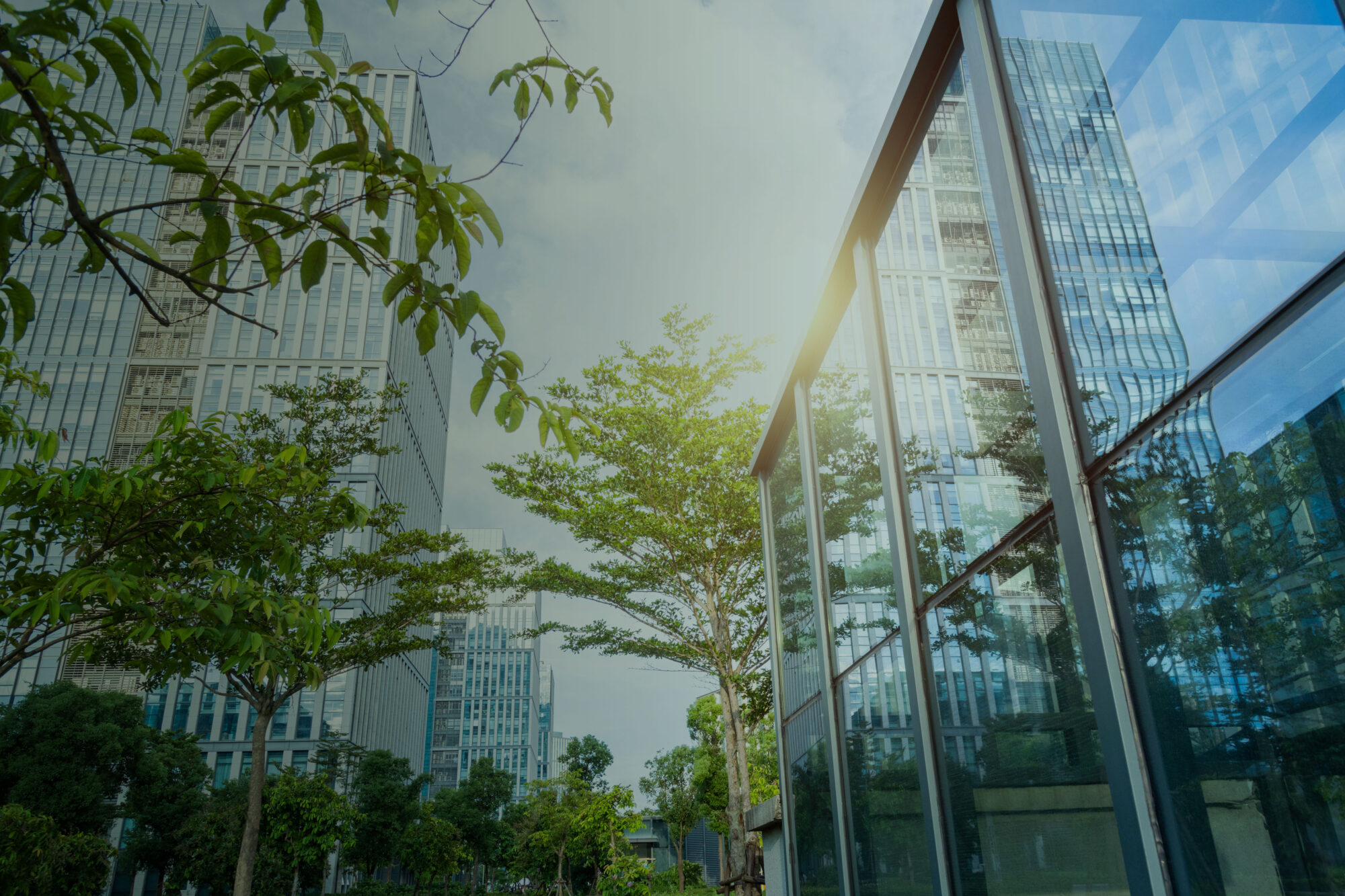 CONTOLLO-ULTRA-LOW-CARBON